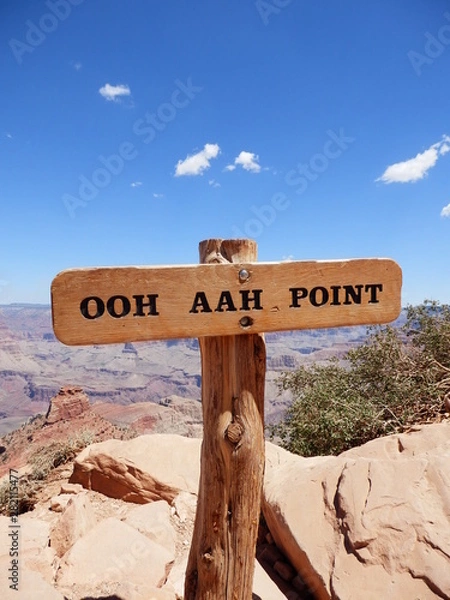 Fototapeta OLYMPUS DIGITAL CAMERA