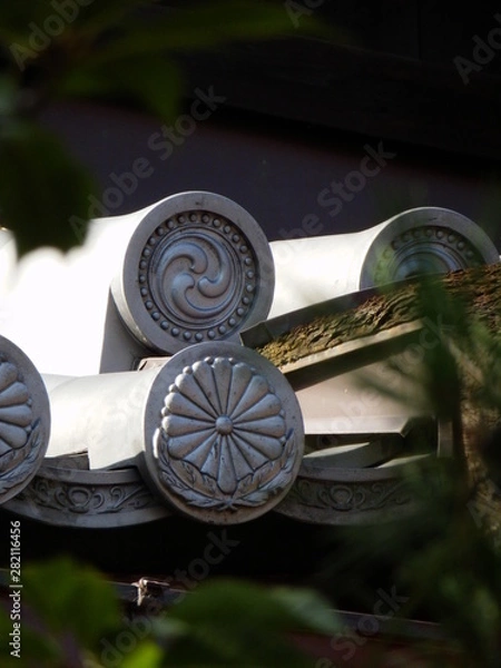 Fototapeta OLYMPUS DIGITAL CAMERA