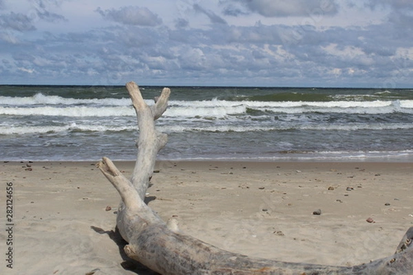 Fototapeta on the beach