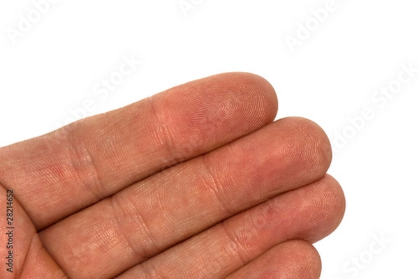 Obraz Hand close up