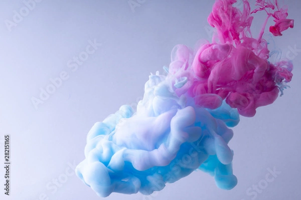Fototapeta Colorful Ink swirling in water. Cloud of silky ink on white background.