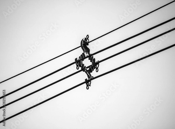 Obraz pole and wires