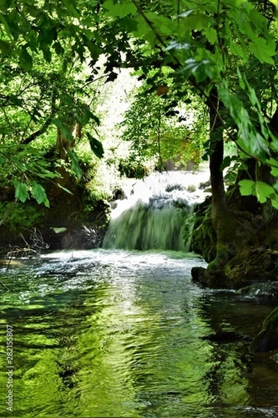 Obraz waterfall in the forest