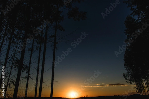 Obraz sunset at the sea