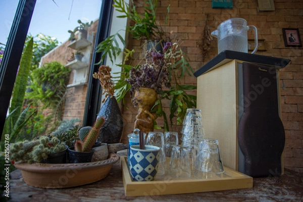 Obraz flowers in pots