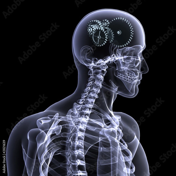 Obraz skeleton x-ray - wheels a turning