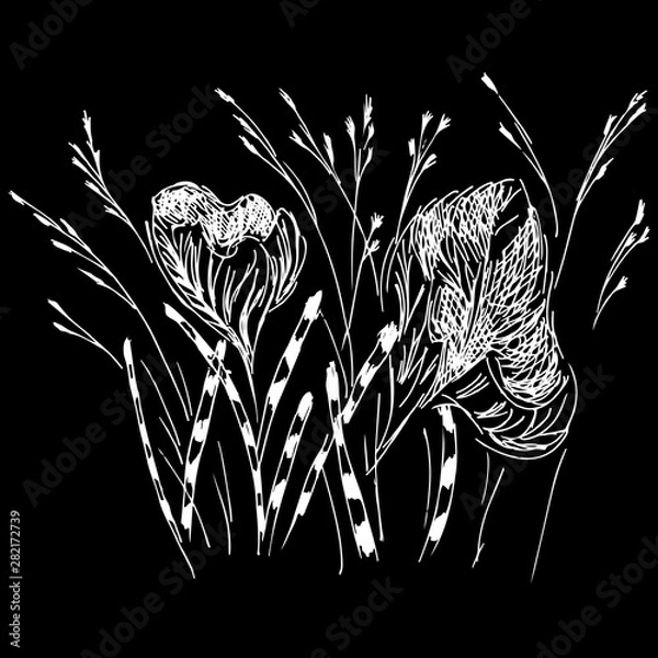 Fototapeta Linear icon with white wildflowers outline hand on black background. Vector sketch. Logo design. Cute hand drawn illustration. Flower pattern. White background isolated