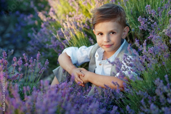 Fototapeta Little boy in a field with flowers. 