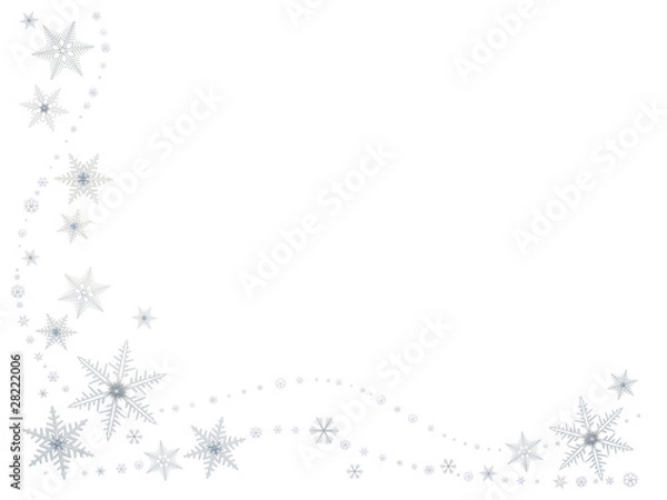 Obraz Snow Flake #12