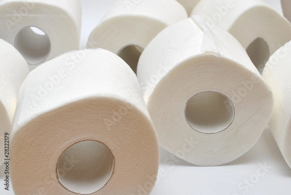 Obraz Toilet paper