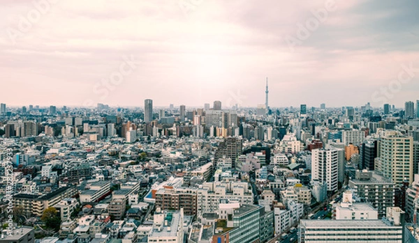 Fototapeta Tokyo skyscraper with Tokyo skytree in background in the morning