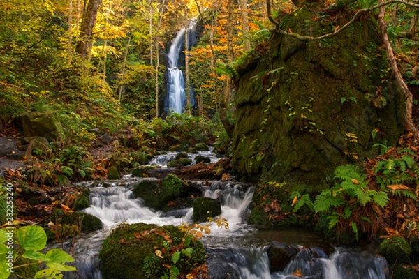 Fototapeta Kumoi waterfall or Kumoi no taki at oirase stream. vibrant autumn colors (foliage) at lake towada, Aomori Prefecture
