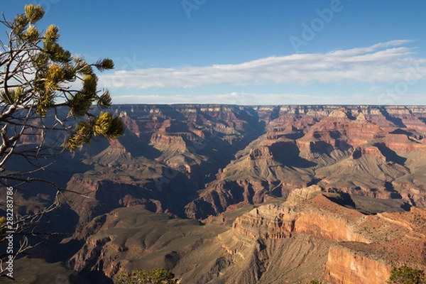 Obraz Canyon im Hintergrund