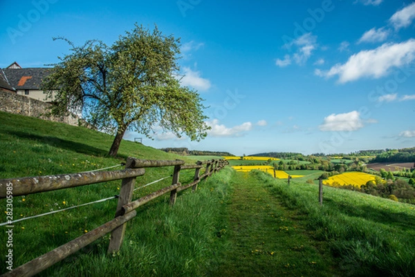 Obraz Frühlingswiese