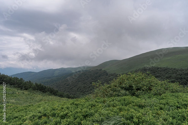 Fototapeta Mountain range in a fog in Bieszczady, Poland.