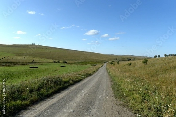 Fototapeta Russia.Western Siberia. The road in the foothills of the Altai mountains
