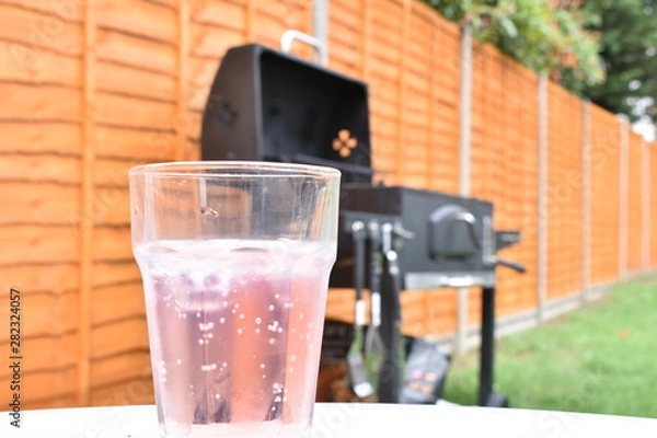 Obraz Pink Gin with a BBQ