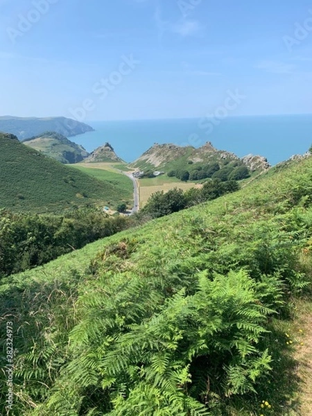 Obraz Wildlife in Devon