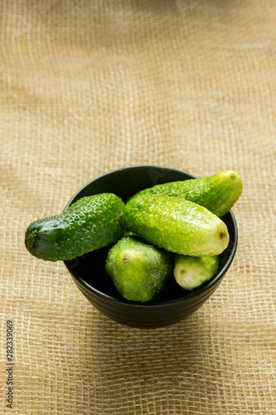 Obraz Cucumbers