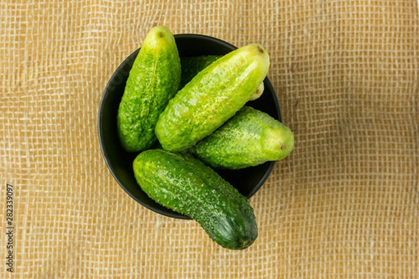 Obraz Cucumbers