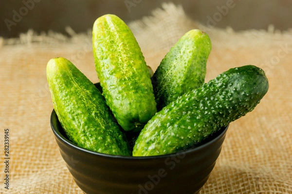 Obraz Cucumbers