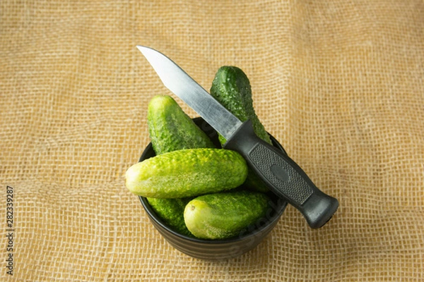 Obraz Cucumbers