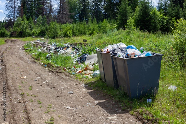 Obraz Garbage dump in the forest