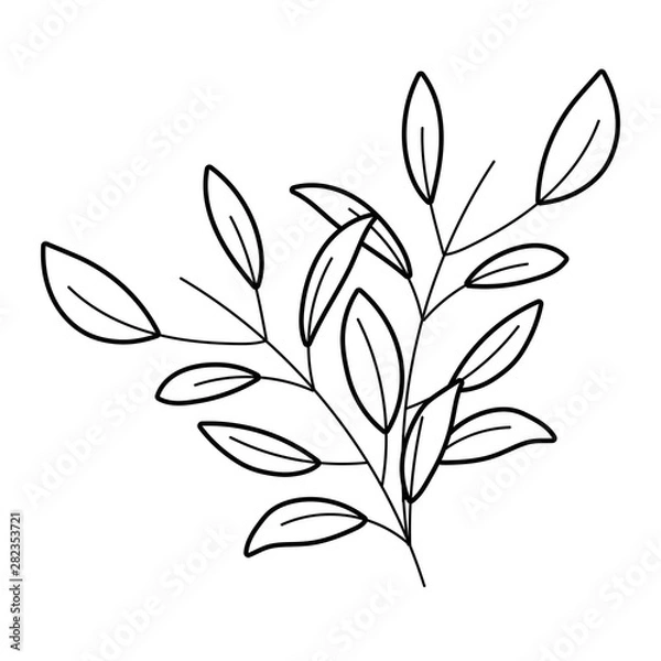 Fototapeta Isolated leaf design vector illustration