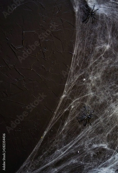 Fototapeta Cobweb or spider's web against a black background, to be used as overlay for Halloween designs