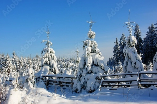 Obraz Winterlandschaft