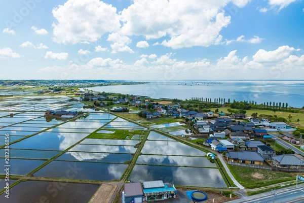 Fototapeta 霞ヶ浦ふれあいランド
