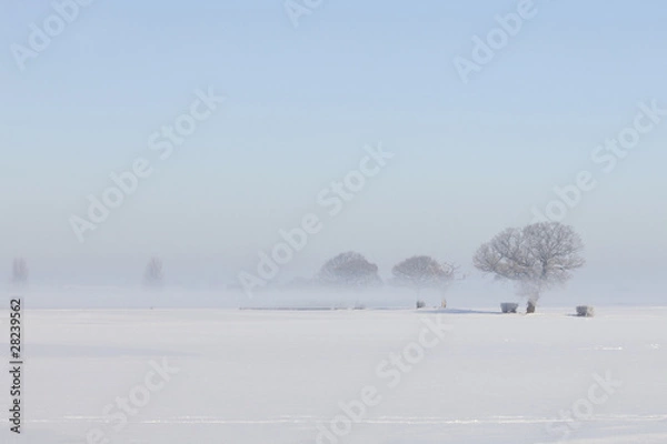 Obraz snowy winter landscape