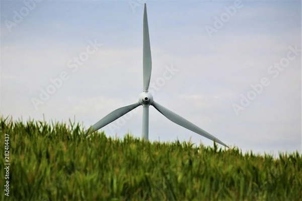 Fototapeta wind turbines in green field
