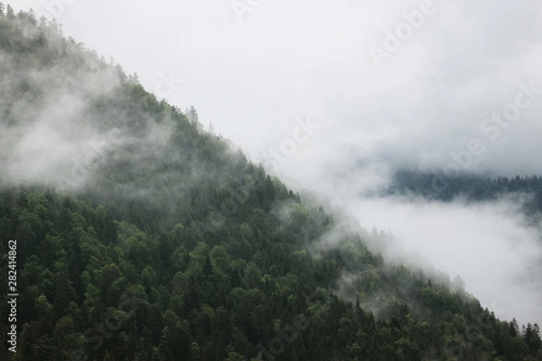 Obraz Berg und Wald in Nebel