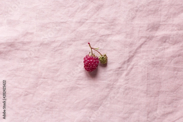 Obraz Raspberry on a flaxen pink background, minimalism
