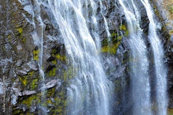 Fototapeta waterfall in forest