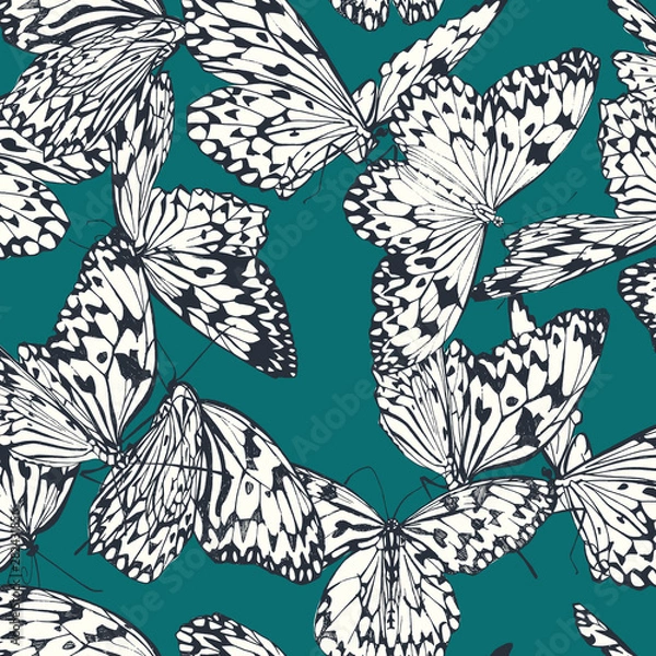 Obraz Butterfly seamless pattern