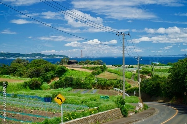 Obraz 三浦半島の南端に広がる畑