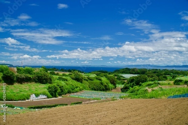 Obraz 三浦海岸の南端に広がる畑