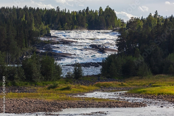 Fototapeta The rapids Storforsen in the Pite River in Swedish Norrbottens are one of the biggest in Europe. It is one of the most popular places to visit in Swedish Lapland.