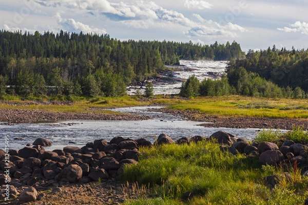 Fototapeta The rapids Storforsen in the Pite River in Swedish Norrbottens are one of the biggest in Europe. It is one of the most popular places to visit in Swedish Lapland.