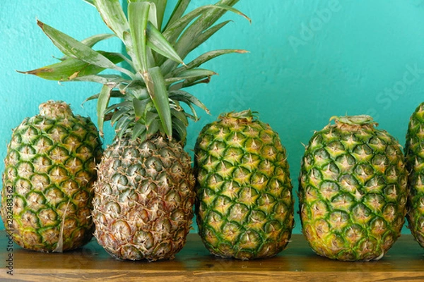 Obraz パイナップル