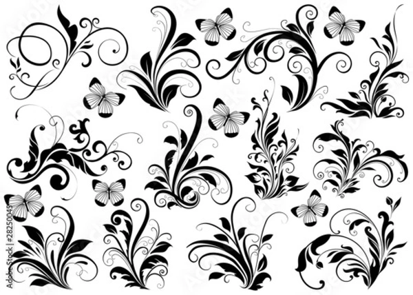 Fototapeta flower element