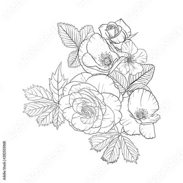 Fototapeta vector drawing flowers