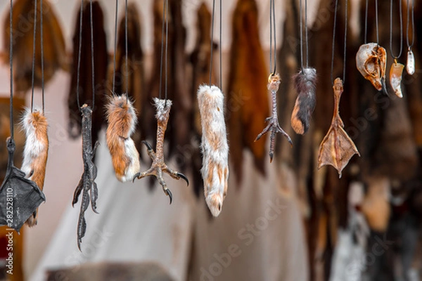 Obraz The charms of the paws and teeth of animals hanging on the ropes on the stand at the fair. Close up.