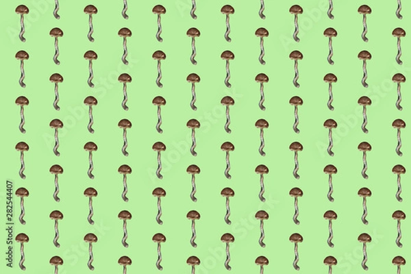 Fototapeta Amanita. Botanical seamless pattern with red mushrooms. Natural elements hand painted with color pencils. Floral watercolor background