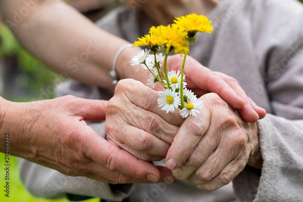 Obraz Elderly care - hands, bouquet