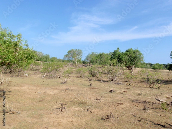 Fototapeta OLYMPUS DIGITAL CAMERA