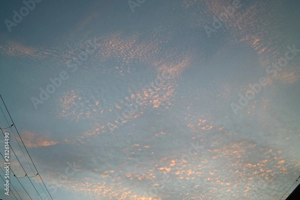 Obraz 夏、うき雲