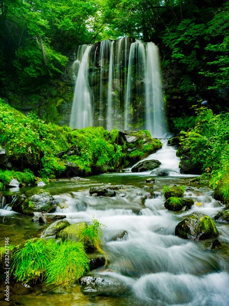 Fototapeta Beautiful Fall in Japan